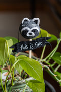 Raccoon Plant Pop