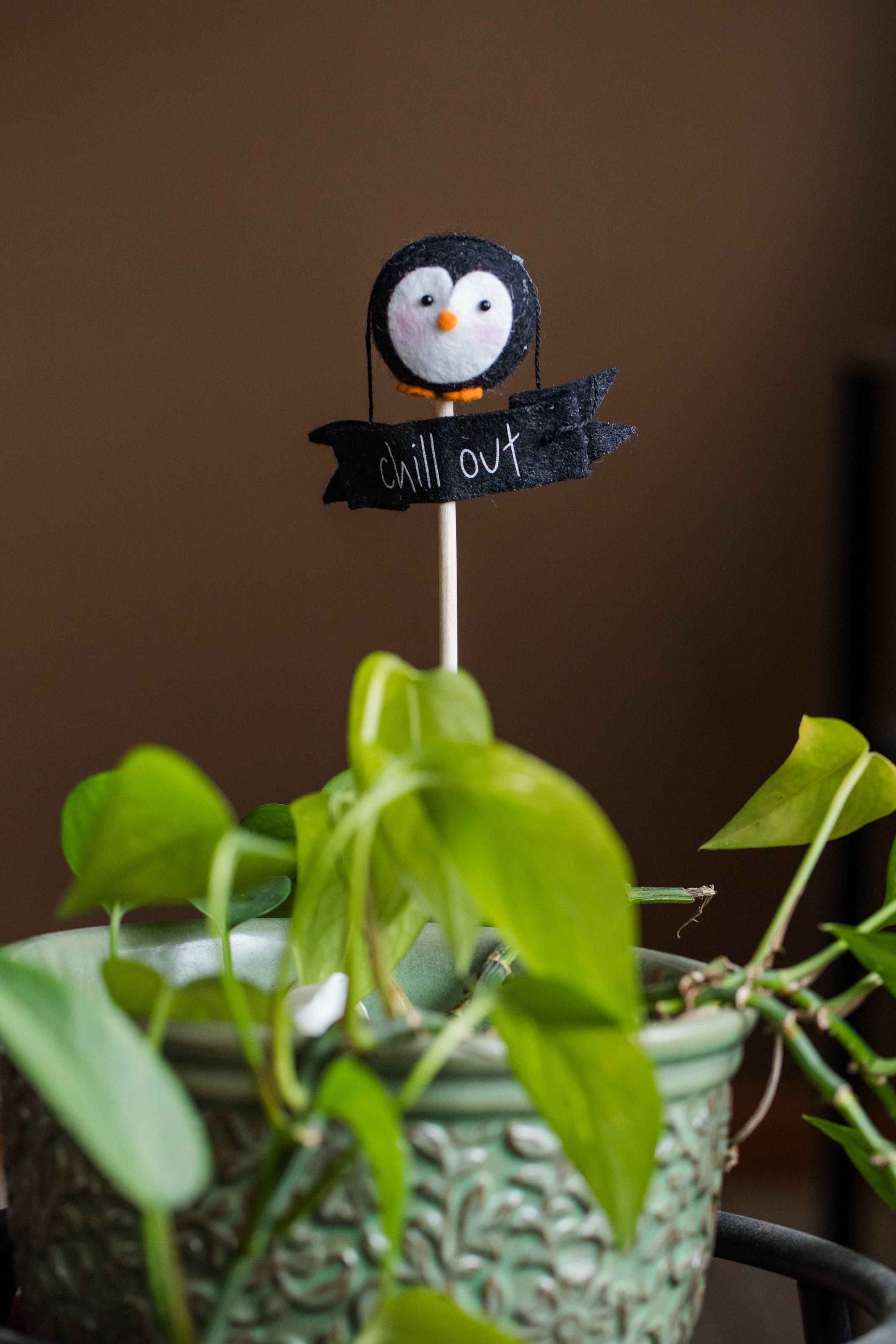 Penguin Plant Pop